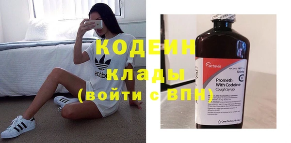 мдпв Бородино