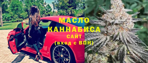 мдпв Бородино