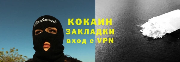 мдпв Бородино