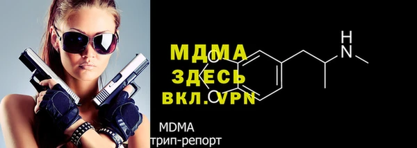 мдпв Бородино