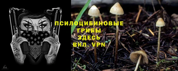 бошки Туринск
