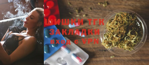 мдпв Бородино