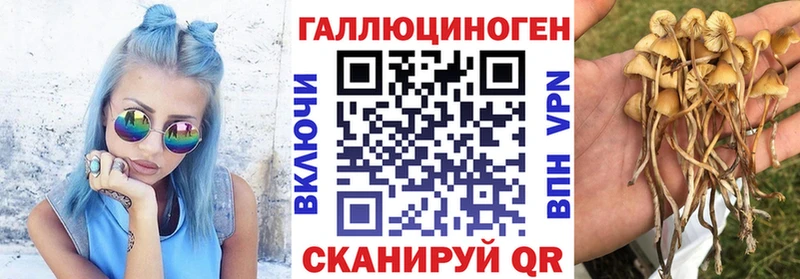 дарнет шоп Менделеевск Псилоцибиновые грибы ЛСД